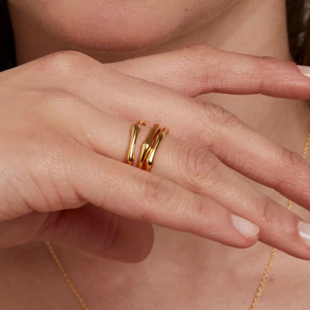 Dinny Hall Bamboo Ring In 22K Yellow Gold Vermeil