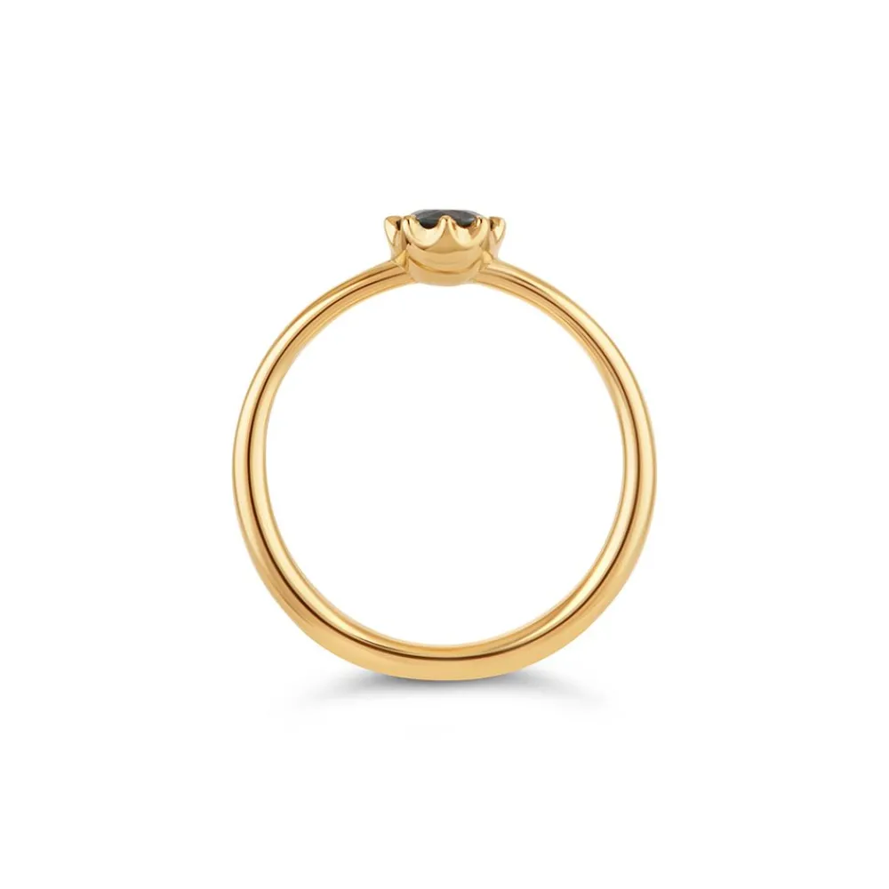 Dinny Hall Ellie 18K Fine Slate Blue Montana Sapphire Solitaire Ring