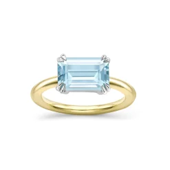 Dinny Hall Hollie 18K Fine Aquamarine Ring