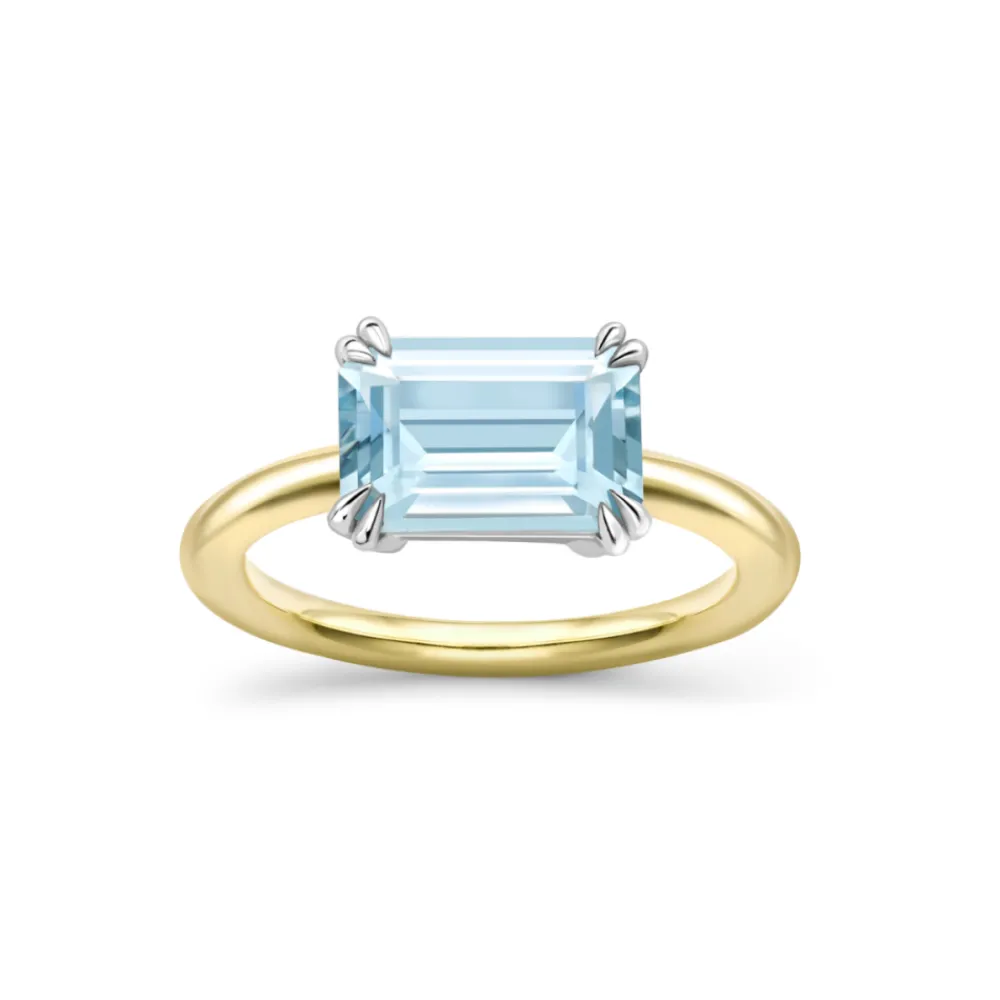 Dinny Hall Hollie 18K Fine Aquamarine Ring