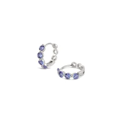 Dinny Hall Shuga 14K Gold Tanzanite Huggie Hoops
