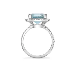 Dinny Hall Zadie 18K Fine Aquamarine & Diamond Ring